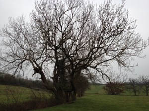 There be cache here ...