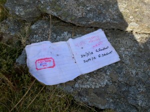 Wet logbook, Mynydd Tal-y-mignedd