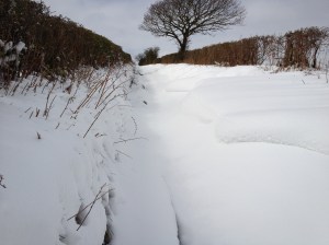 Snowy lane out of Knighton